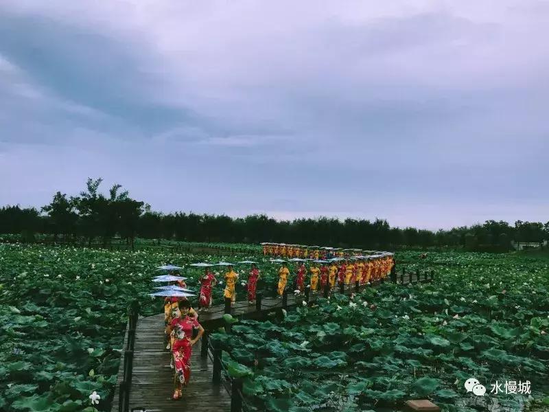 荷你有约金湖音乐节,荷你有约开学典礼