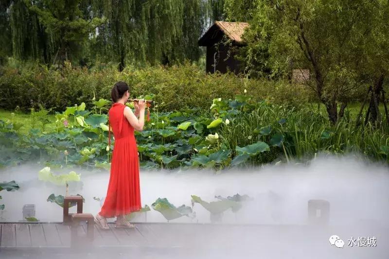 荷你有约金湖音乐节,荷你有约开学典礼