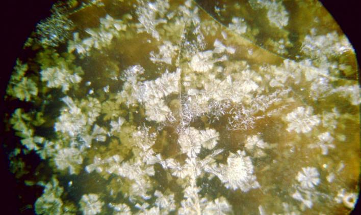 古瓷如何鉴定真伪,古瓷真伪鉴别的六种方法