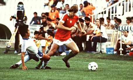 2002年韩日世界杯韩国vs意大利,2002年世界杯半决赛韩国vs德国