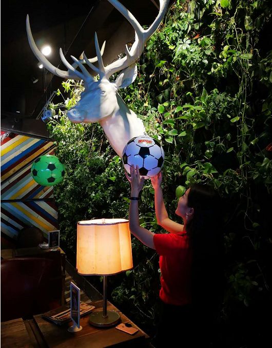 世界杯观赛指南书籍,第1期世界杯观赛指南