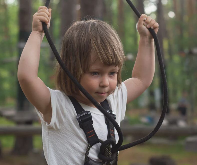 李承鹏的书沉默的大多数,李承鹏写给儿子的一段话
