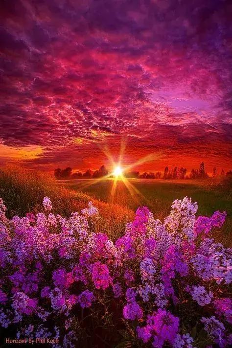 14张会动的照片,会动的照片大全大图