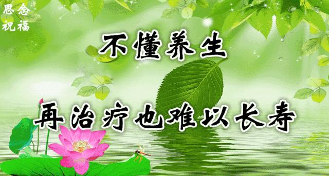 14张会动的照片,会动的照片大全大图