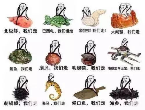 泥鳅恩诺沙星超标三倍罚款多少,泥鳅中恩诺沙星超标怎么处理