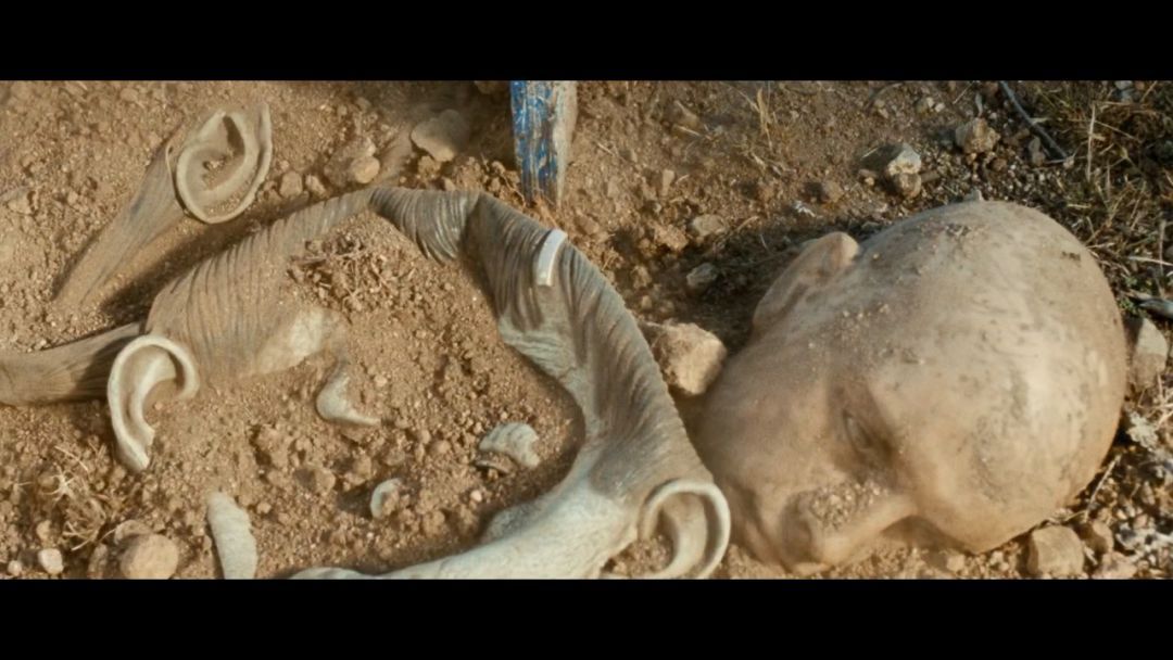 把大尺度拍得如此变态唯美,导演你怕是磕药了吧!