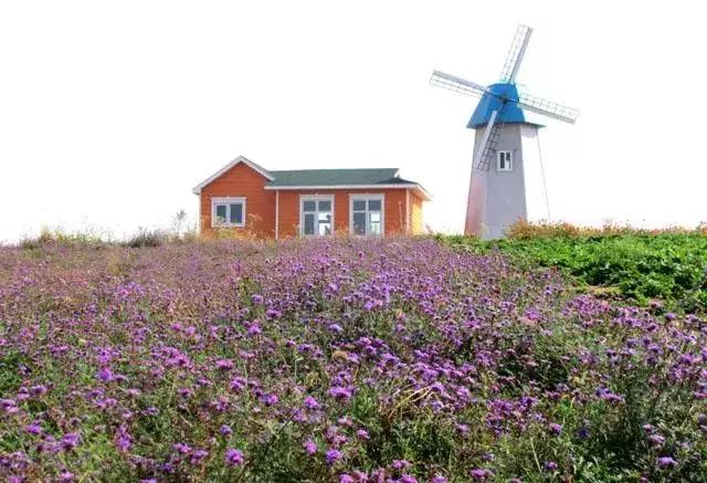 端午假期遇上父亲节,端午节父亲节出游