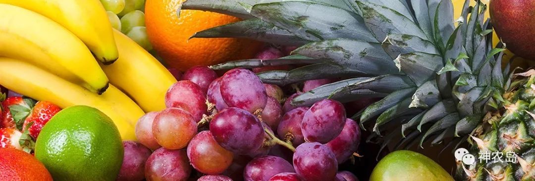 dole閮戒箰鏅哄埄瑗挎,dole閮戒箰闈掑矝