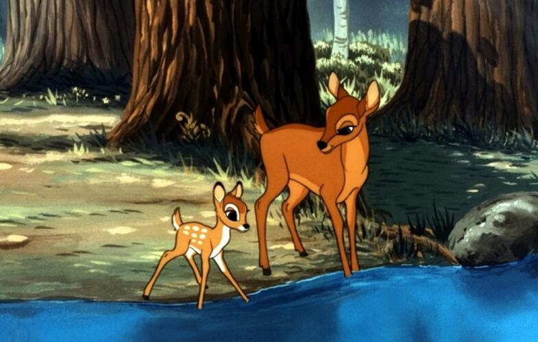 小鹿不再乱撞翻译,小鹿乱撞老鹿蹒跚的经典语录