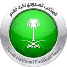 世界杯看球指南全集,球迷必备的世界杯看球指南