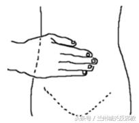 一撮六月“神仙草”,助眠补肾防蚊咬!只花几块钱,整个夏天没病扰