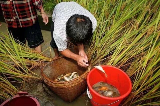 打工想发财有什么门路,一个年轻人的致富思维