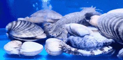 济南这家自带光环的店，五大福利解锁世界杯看球新姿势！