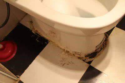 卫生间一到夏季就反臭味原因,夏天卫生间臭味难闻有什么小妙招