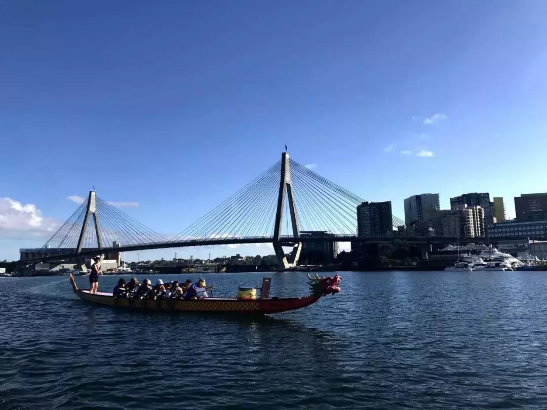 我在悉尼买龙舟，天猫下单解乡愁