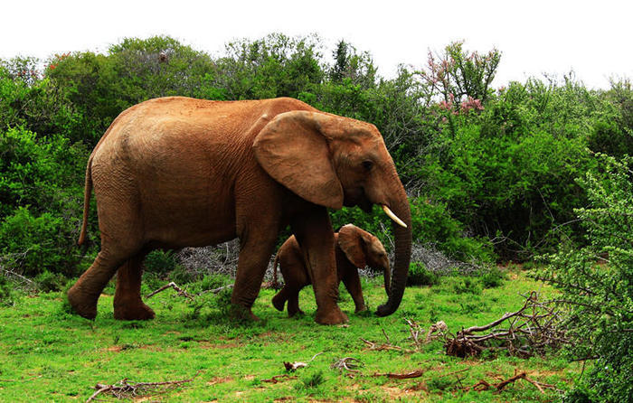 难得的惬意时光周末,享受周末这悠闲惬意的时光