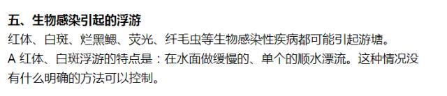 南美白对虾漂浮水怎么处理,南美白对虾生活习性详解