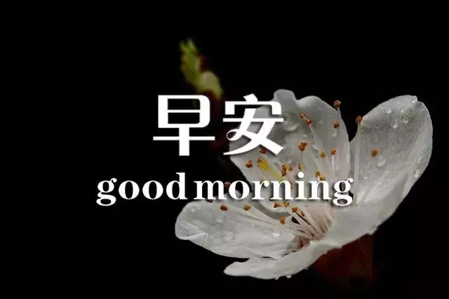 闹钟在吵早安祝福语,闹钟在响喜鹊在叫