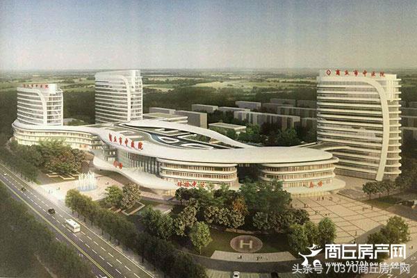 有品牌、有名校，有环境、有支持，这才是最具潜力区域？