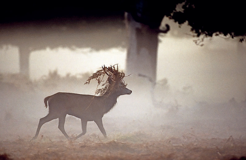 鎯犳儬鎽勫奖浣滃搧娆ｈ祻,鎯犳媿鎽勫奖