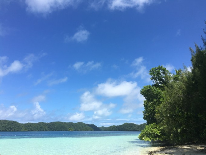 帕劳海底之旅,帕劳的海底
