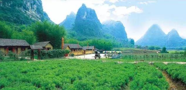 如果肇庆的美食及美景来一场足球赛，胜出的将会是……