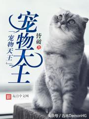 十大最热爽文,100%热门爆款小说