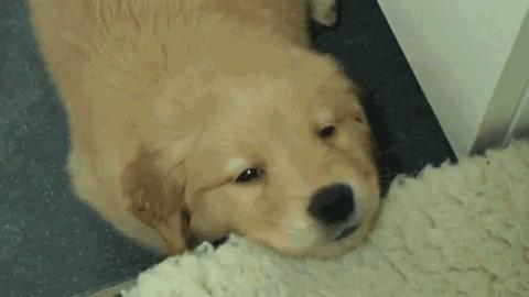 打嗝看出癌症,打嗝要警惕四种病肚子饿也打嗝