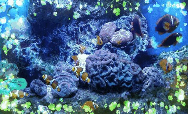 不用计划了！大连人的这个端午，看着这条微信过就行！