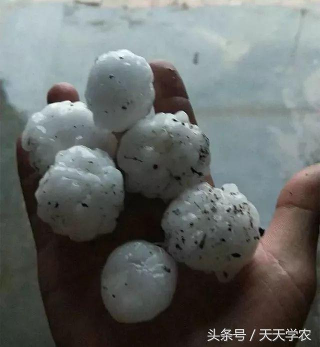 滞销水果为什么卖不掉,水果滞销的痛点有哪些