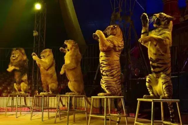 周至县大马戏,俄罗斯传奇大马戏简介