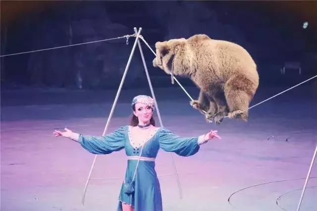 周至县大马戏,俄罗斯传奇大马戏简介