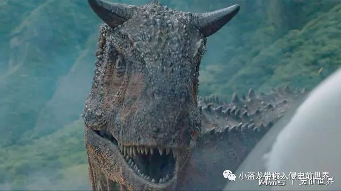 《侏罗纪世界2》所有恐龙的名字,侏罗纪世界2里面所有的恐龙名字