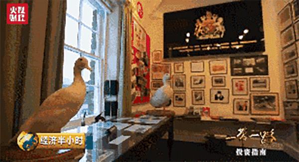 北京鸭流落百年终回家,中国公司15亿元购英国“樱桃谷鸭”