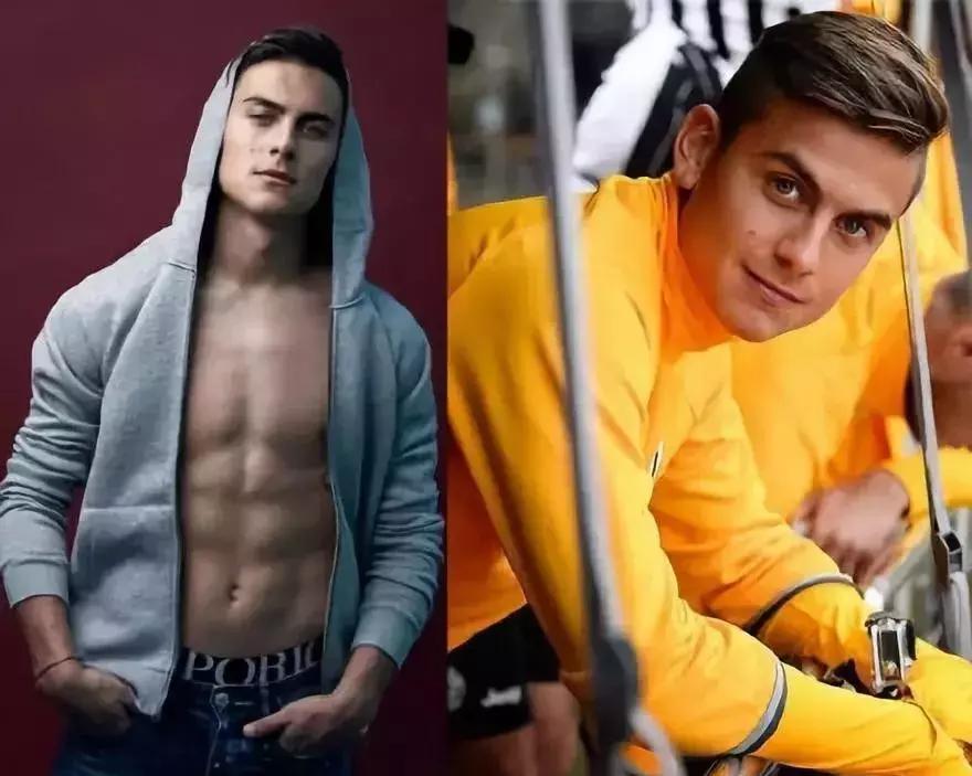 世界杯肉肉的仙人球,世界杯胖嘟嘟