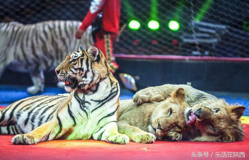 不用出国也能看到蒙娜丽莎,不用出国也能看的异域风景