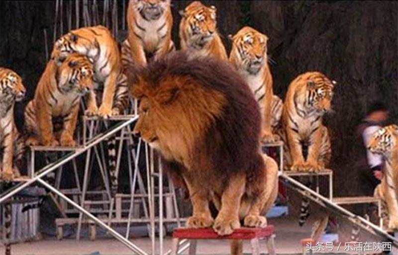 不用出国也能看到蒙娜丽莎,不用出国也能看的异域风景