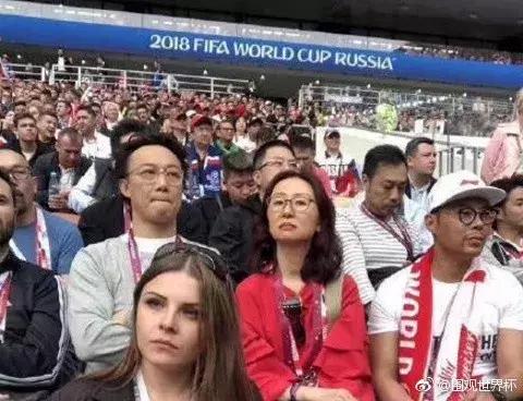 世界杯实时信息战报,世界杯所有消息