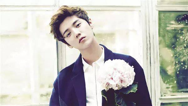 鹿晗解说世界杯哪一场,鹿晗有什么实力解说世界杯