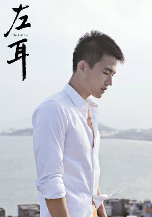 苏有朋左耳金马奖,左耳入围金马奖