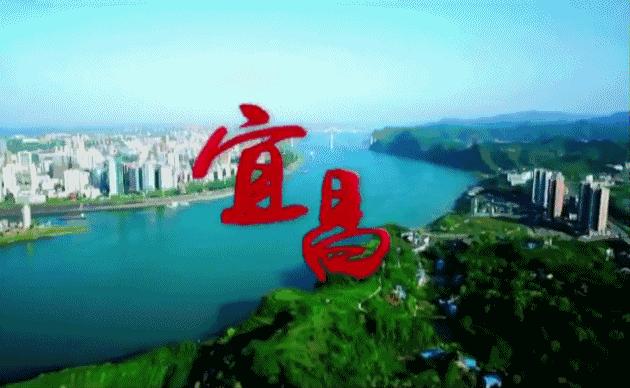 普高录取状况查询,普高录取结果