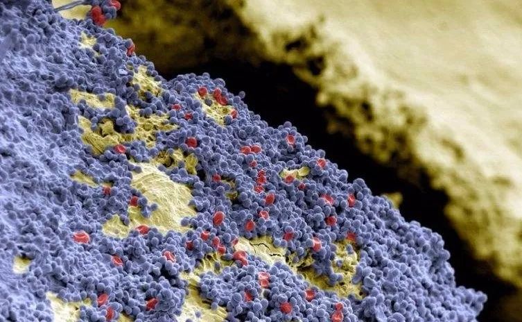 喝酸奶吃螃蟹会不会中毒,吃了螃蟹喝橙汁会中毒吗