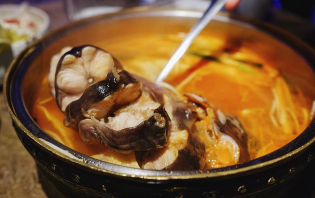 贵阳美食展示节,贵阳美食会展城