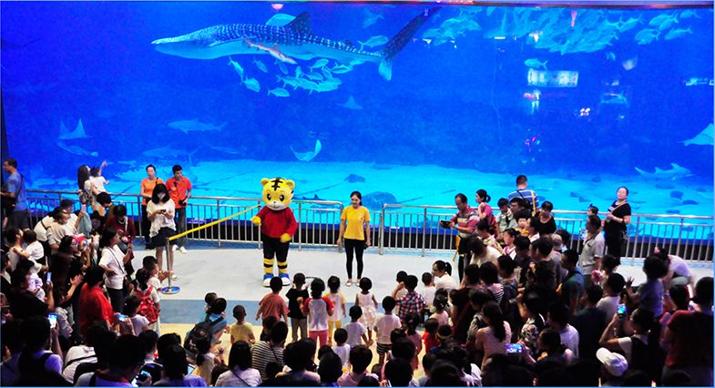 精彩活动｜海底世界杯精彩开战，烟台渔人码头打造别开生面“人+鱼”水下足球赛！