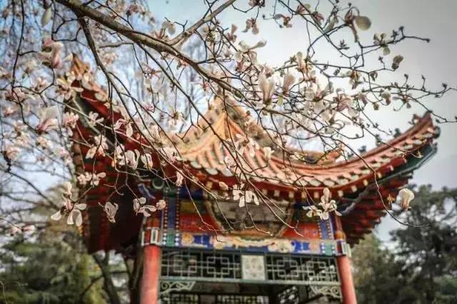 超级英雄父亲节礼物,父亲节超级英雄