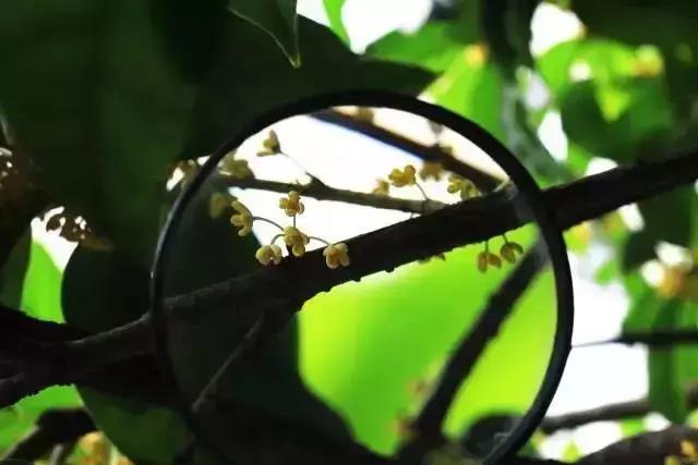 超级英雄父亲节礼物,父亲节超级英雄