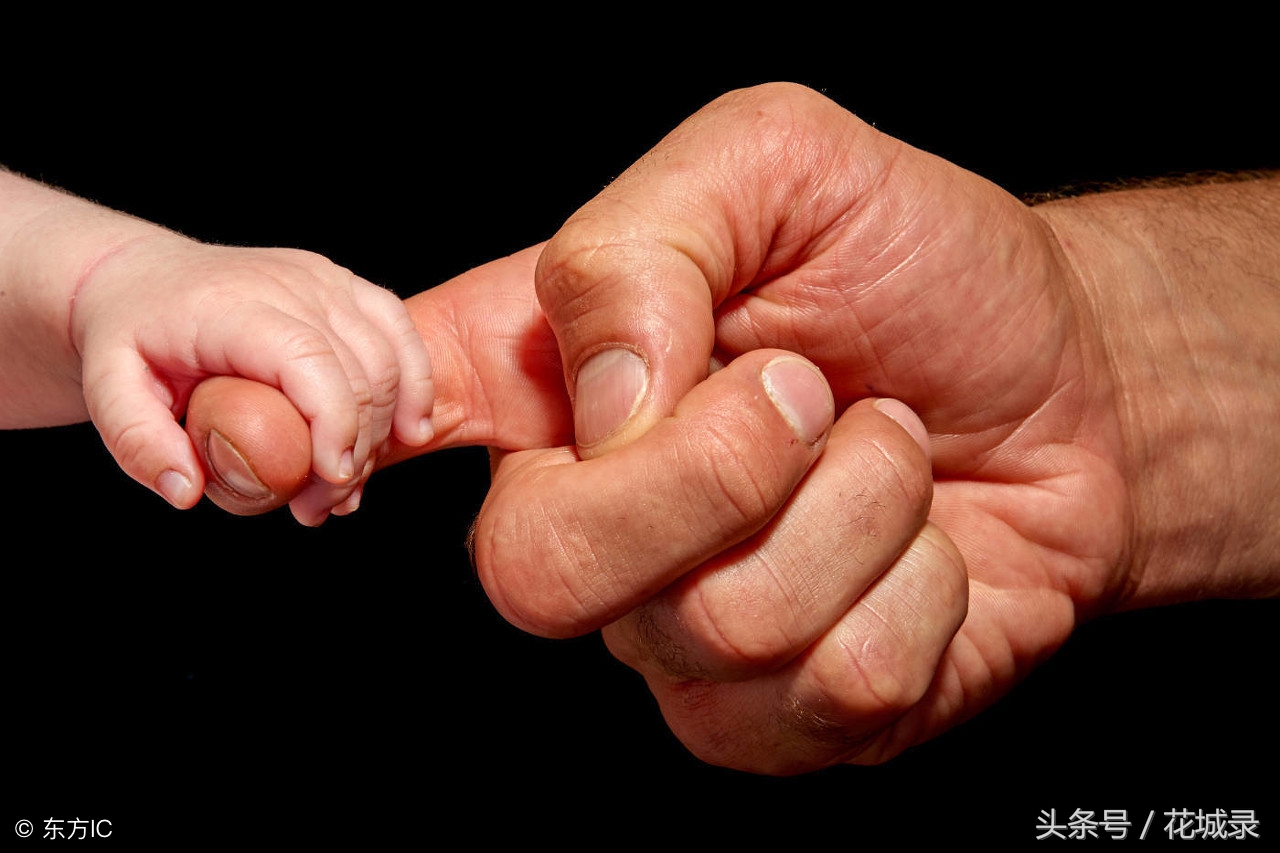 只知道母亲要送花而不知道父亲节也可以送花，快看看适合送的花吧