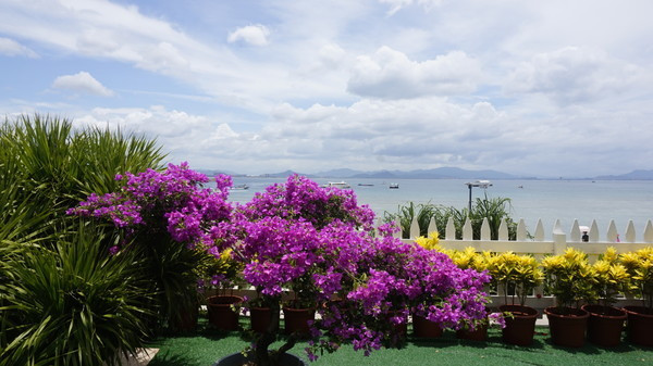 一个人的旅行真的有意义吗,旅行的意义和不期而遇的相遇