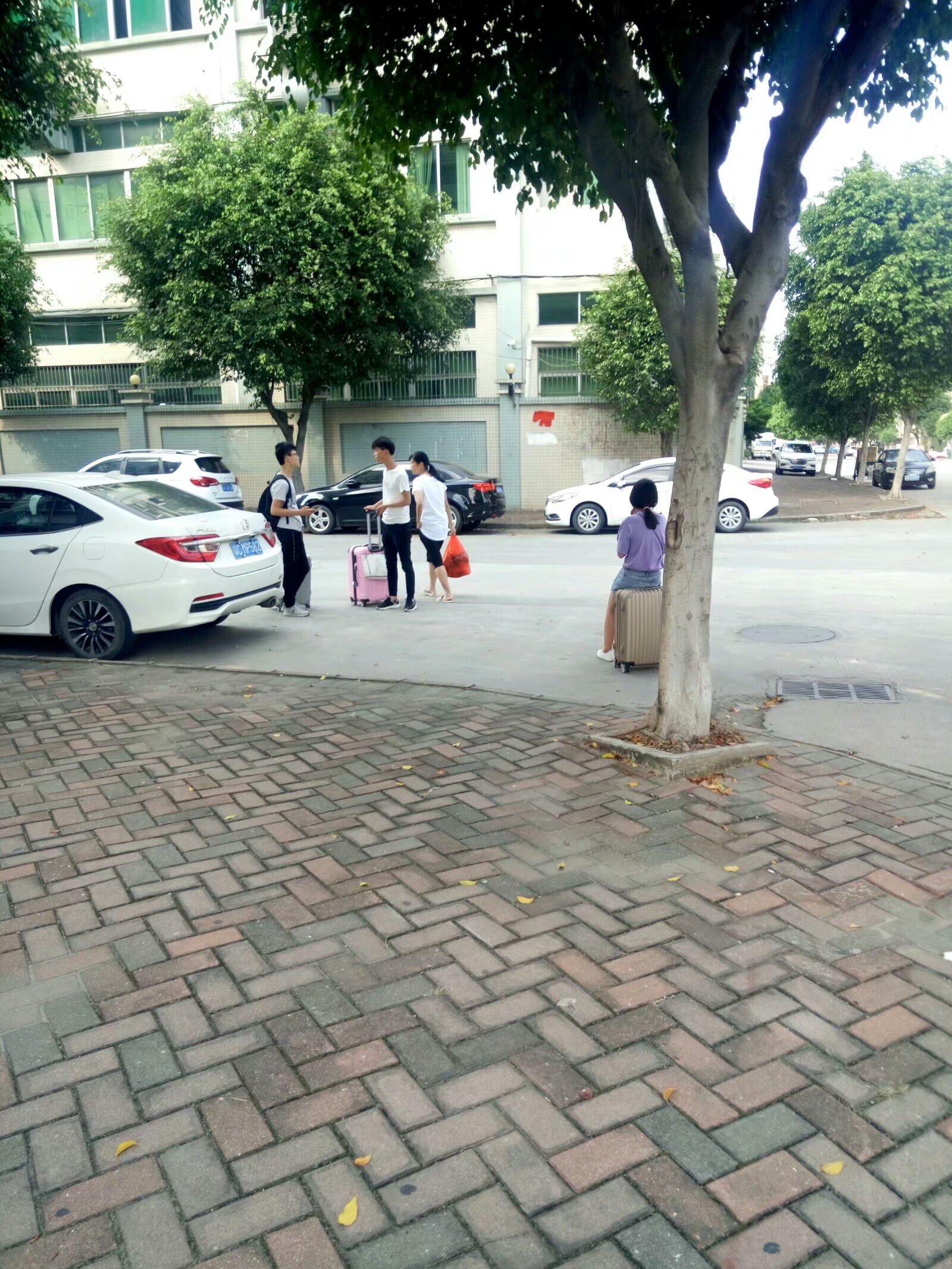 东莞大朗毛织厂招聘最新信息,大朗毛织厂多还是濮院毛织厂多