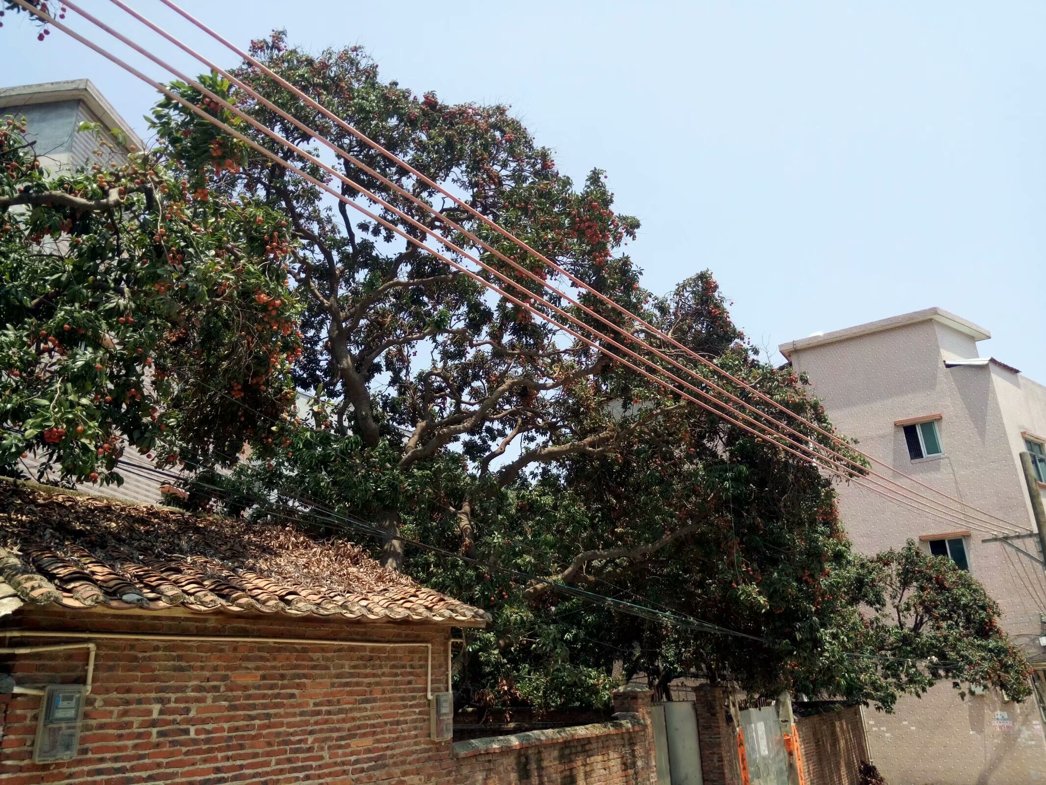 东莞大朗毛织厂招聘最新信息,大朗毛织厂多还是濮院毛织厂多